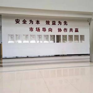 国家电投大别山发电